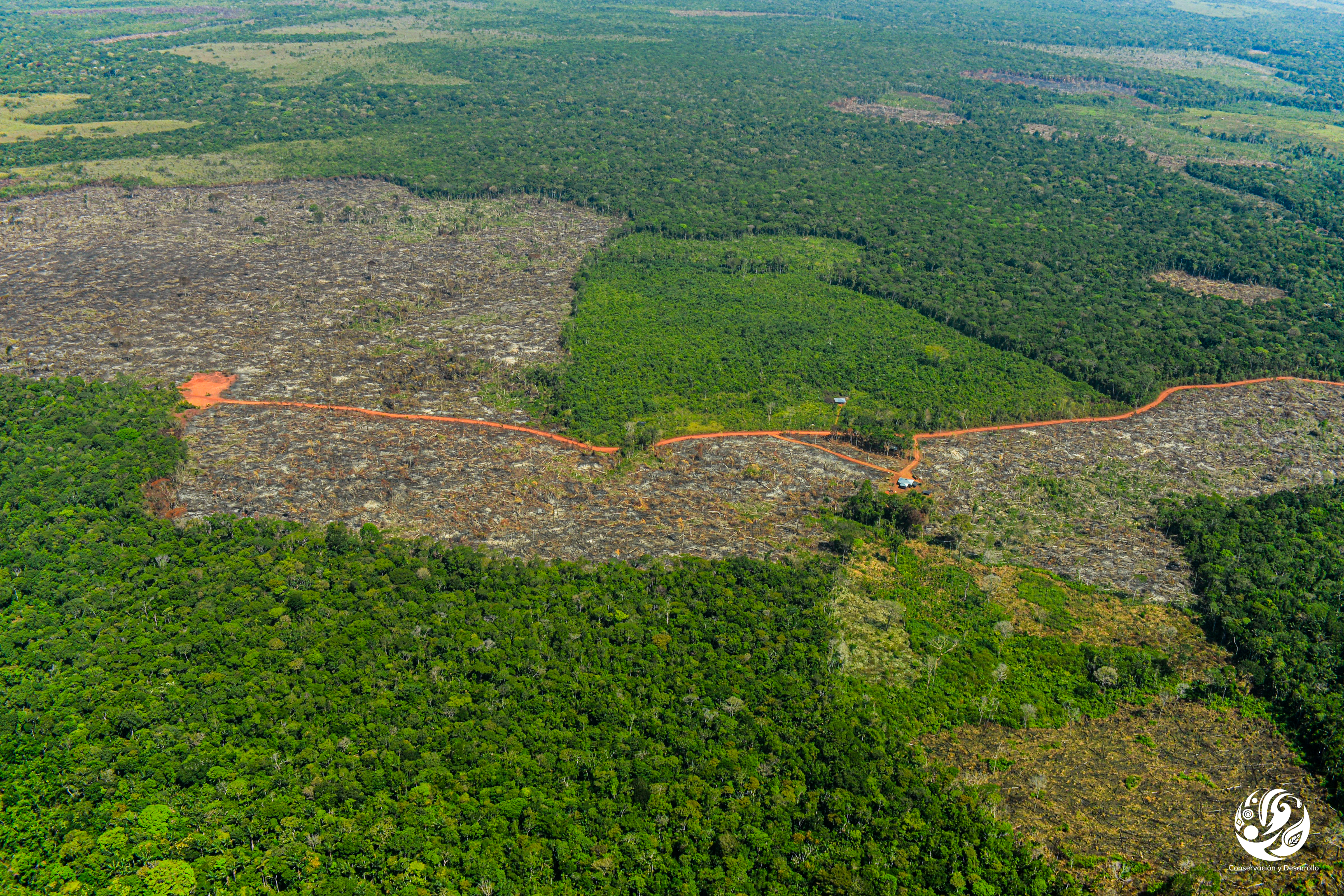 Desde 2016 se han deforestado 925.000 hectáreas de bosque amazónico