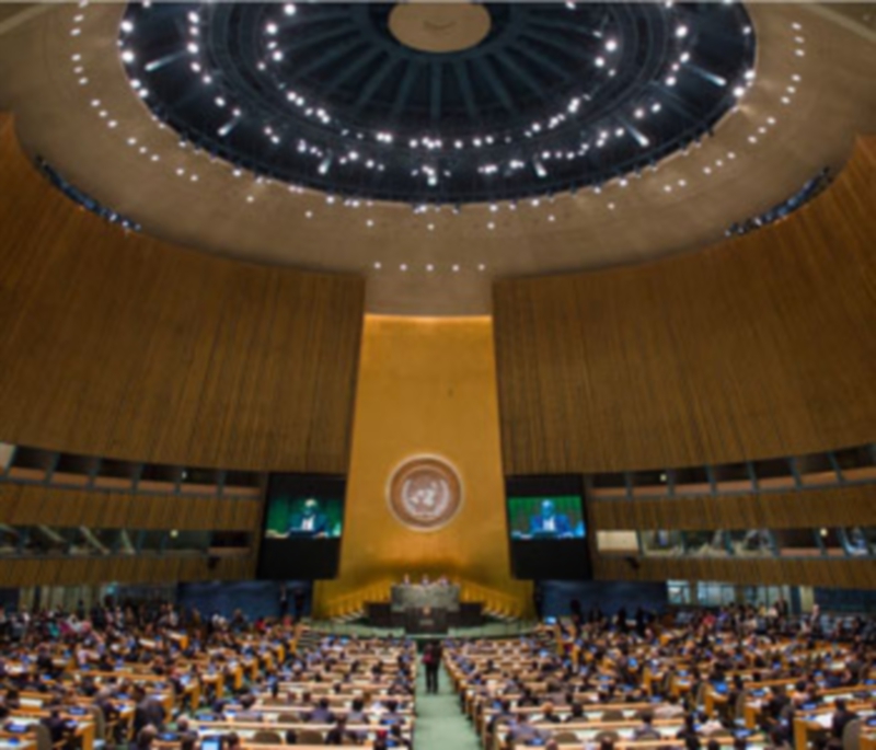 Madre lleva “falso positivo” de su hijo ante la Onu