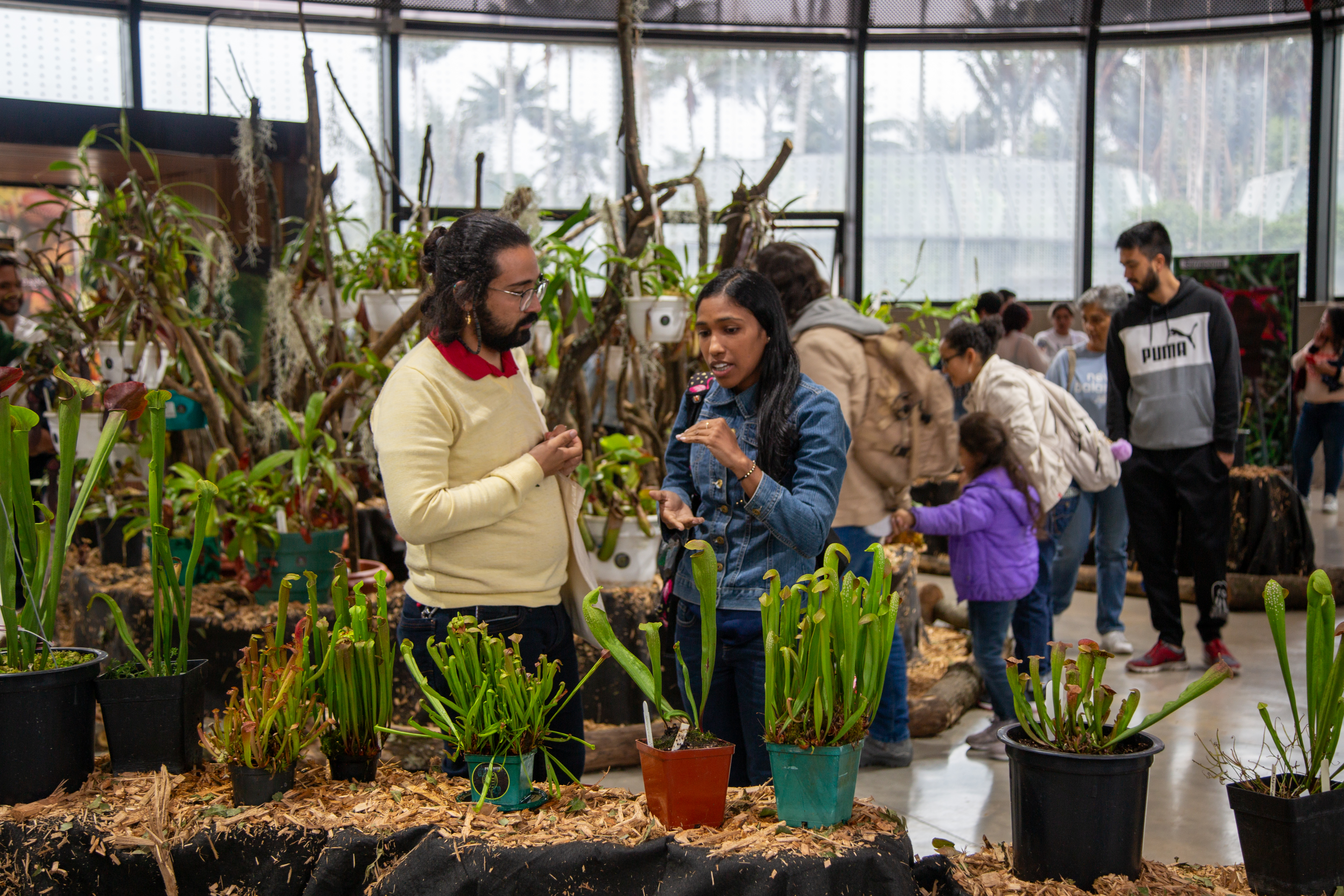 Así se vivió la exposición de plantas carnívoras del Jardín Botánico de Bogotá