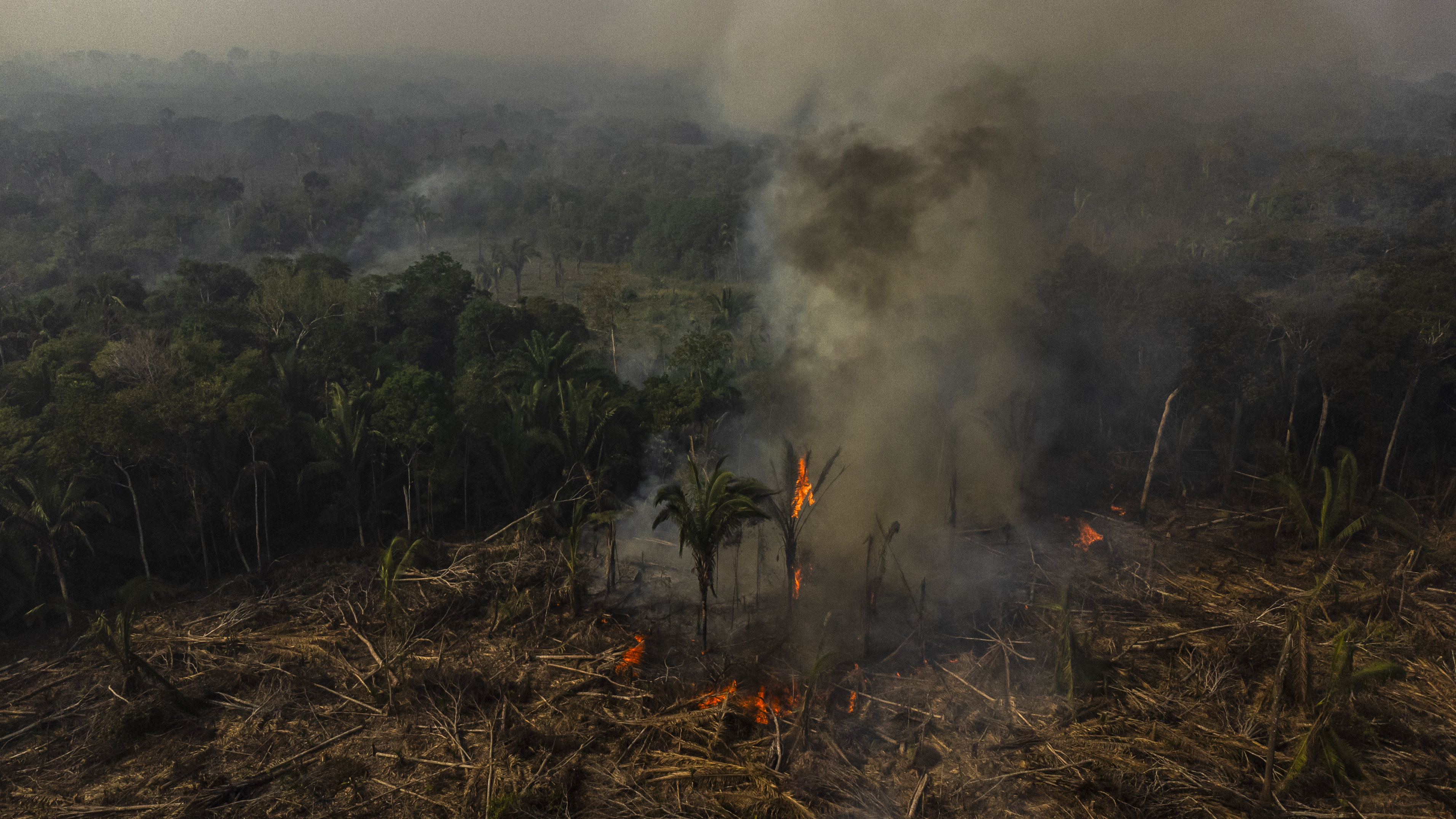 Contraloría alerta fallas en el monitoreo de recursos para el cambio climático en Colombia