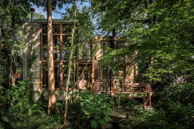 Casa del árbol, en Dallas, Texas (Estados Unidos).