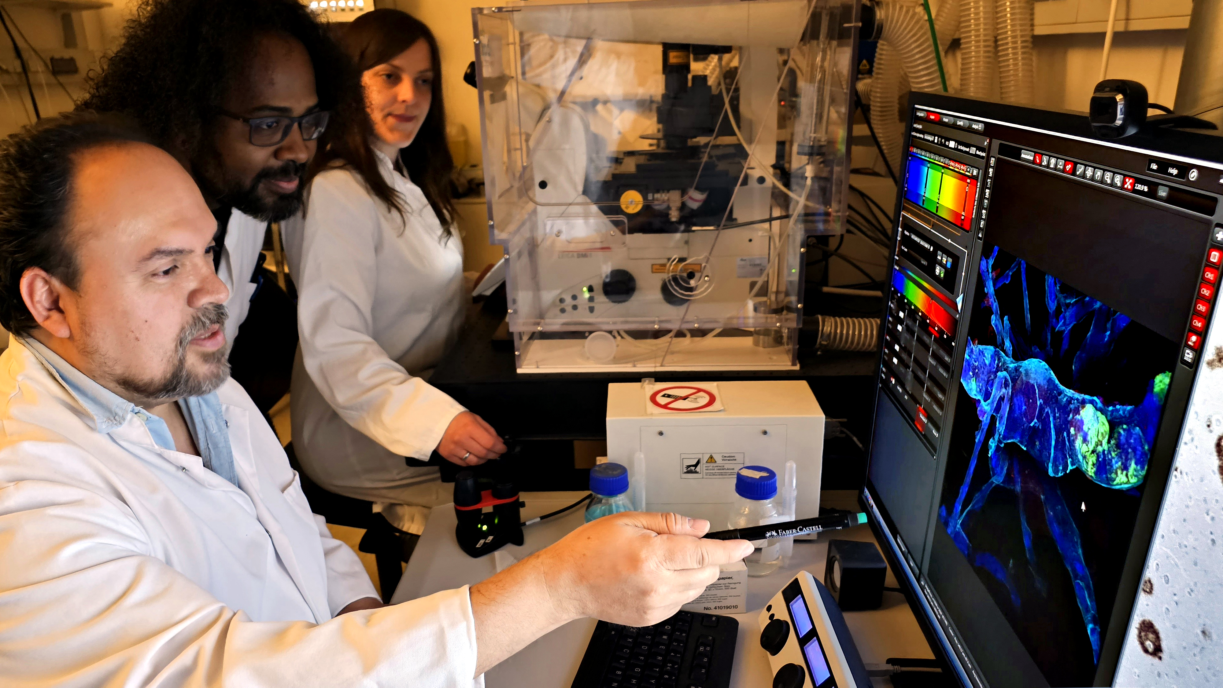 Un nuevo capítulo del alzhéimer gracias al cerebro de un paciente paisa