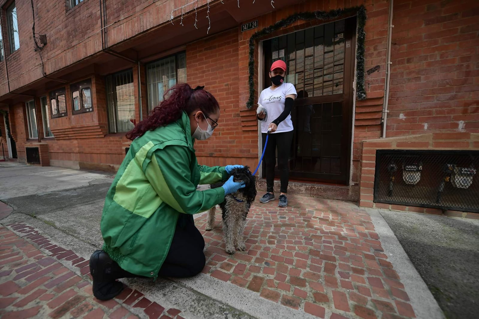 Una mujer revisa a un perro que sostiene otra mujer con una correa