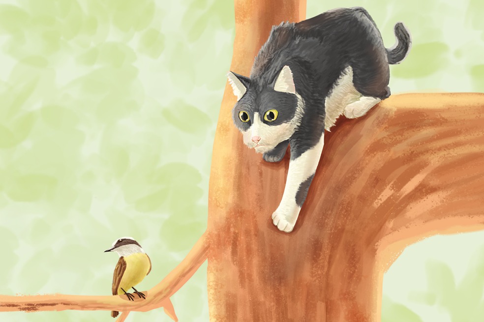 Gatos ferales, una problemática ambiental relacionada con la tenencia de mascotas