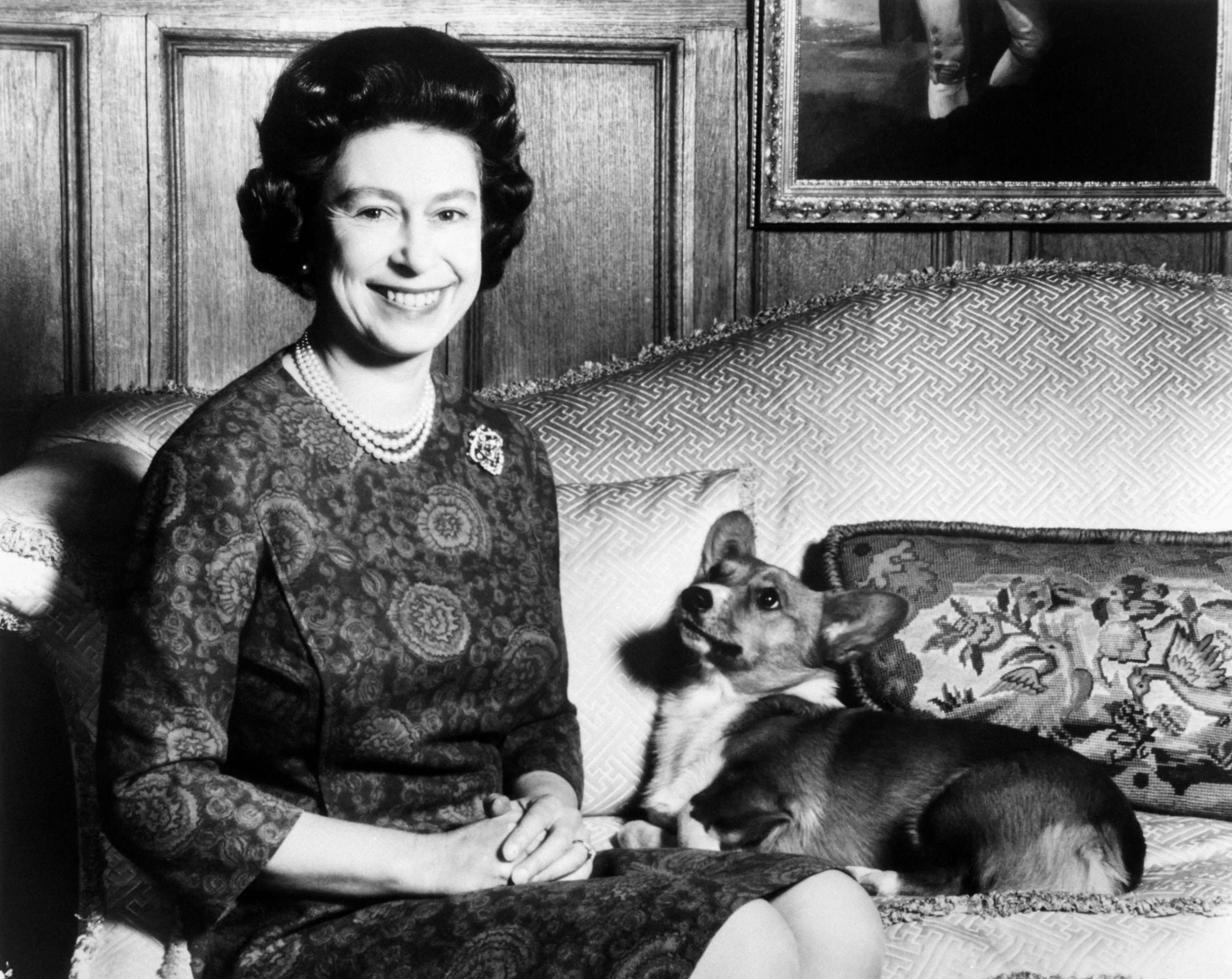 La historia de amor de Isabel II y sus perros corgis, ¿quién cuidará de ellos?