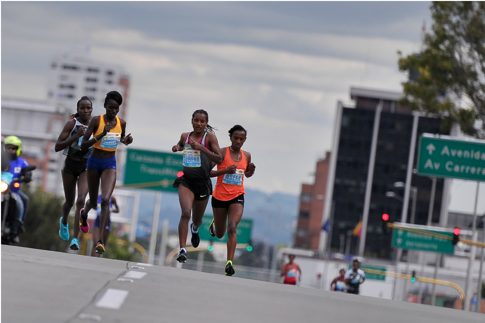 Cartel de lujo para la Media Maratón de Bogotá 2017