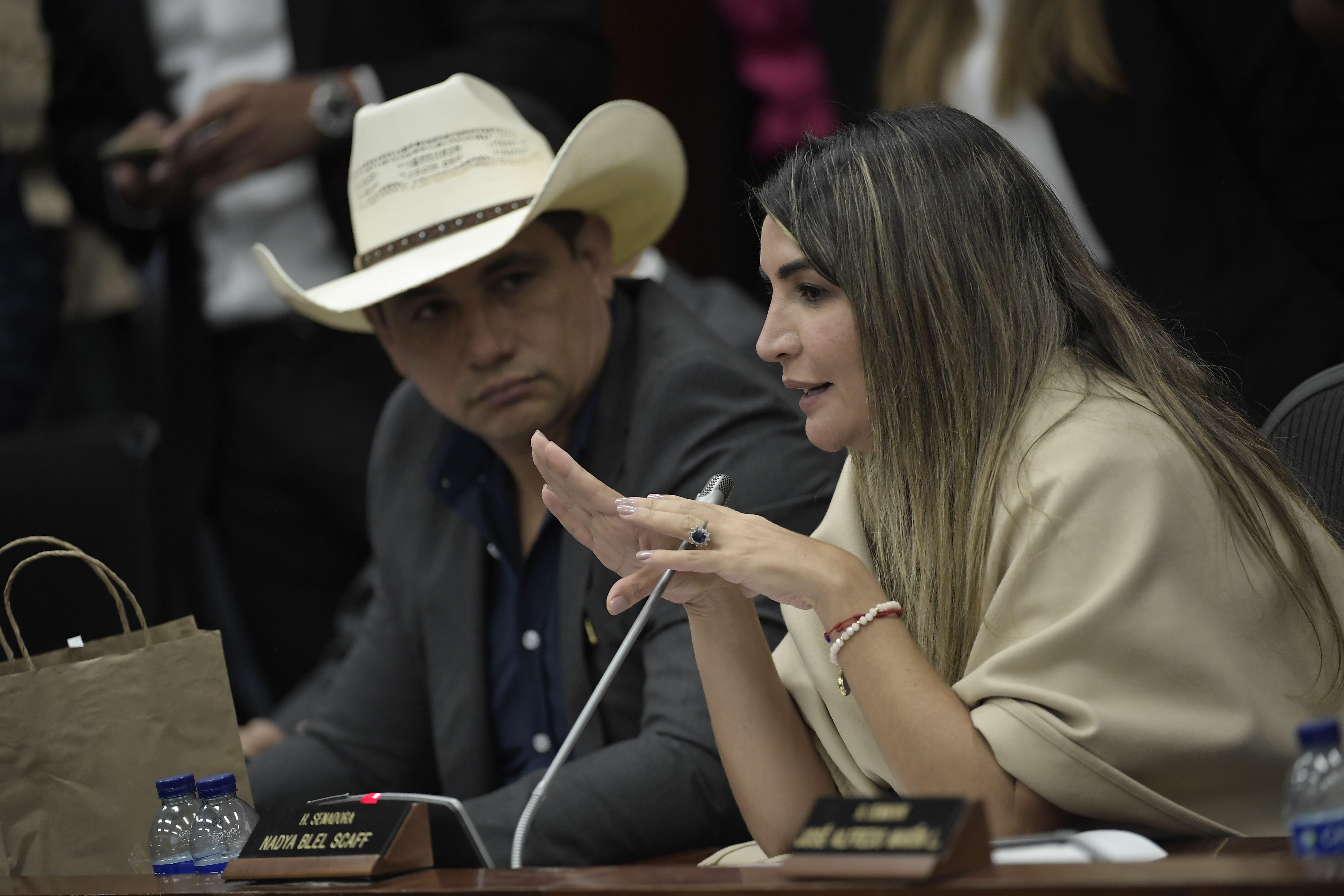 Senado votará objeciones de Petro al proyecto “mamá cuentas conmigo”