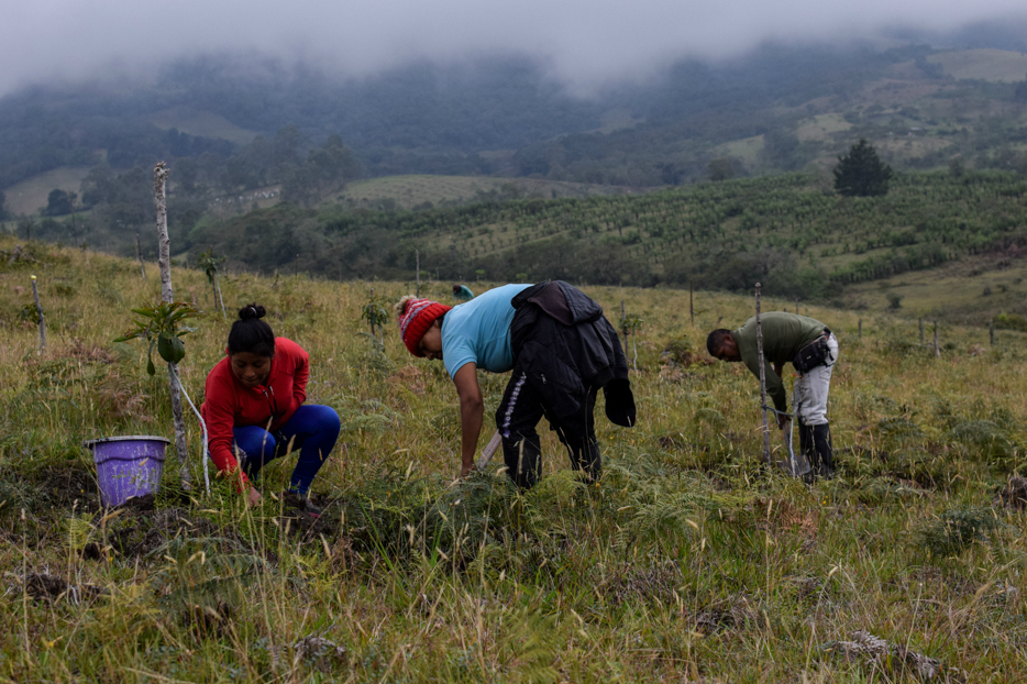 Los desafíos del laboratorio de paz del Cauca