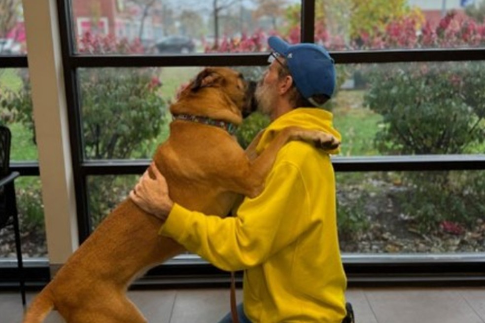Minnie, llegó al refugio después de que su dueño enfermara de cáncer. Aunque estuvo junto a él durante los primeros meses, llegó un punto en el que la salud de Mike empeoró y tuvo que tomar la decisión de encontrar un hogar para su compañera. Esta es su historia.