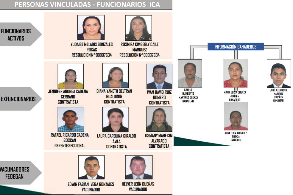 Funcionarios del ICA, señalados de facilitar el contrabando de ganado desde Venezuela