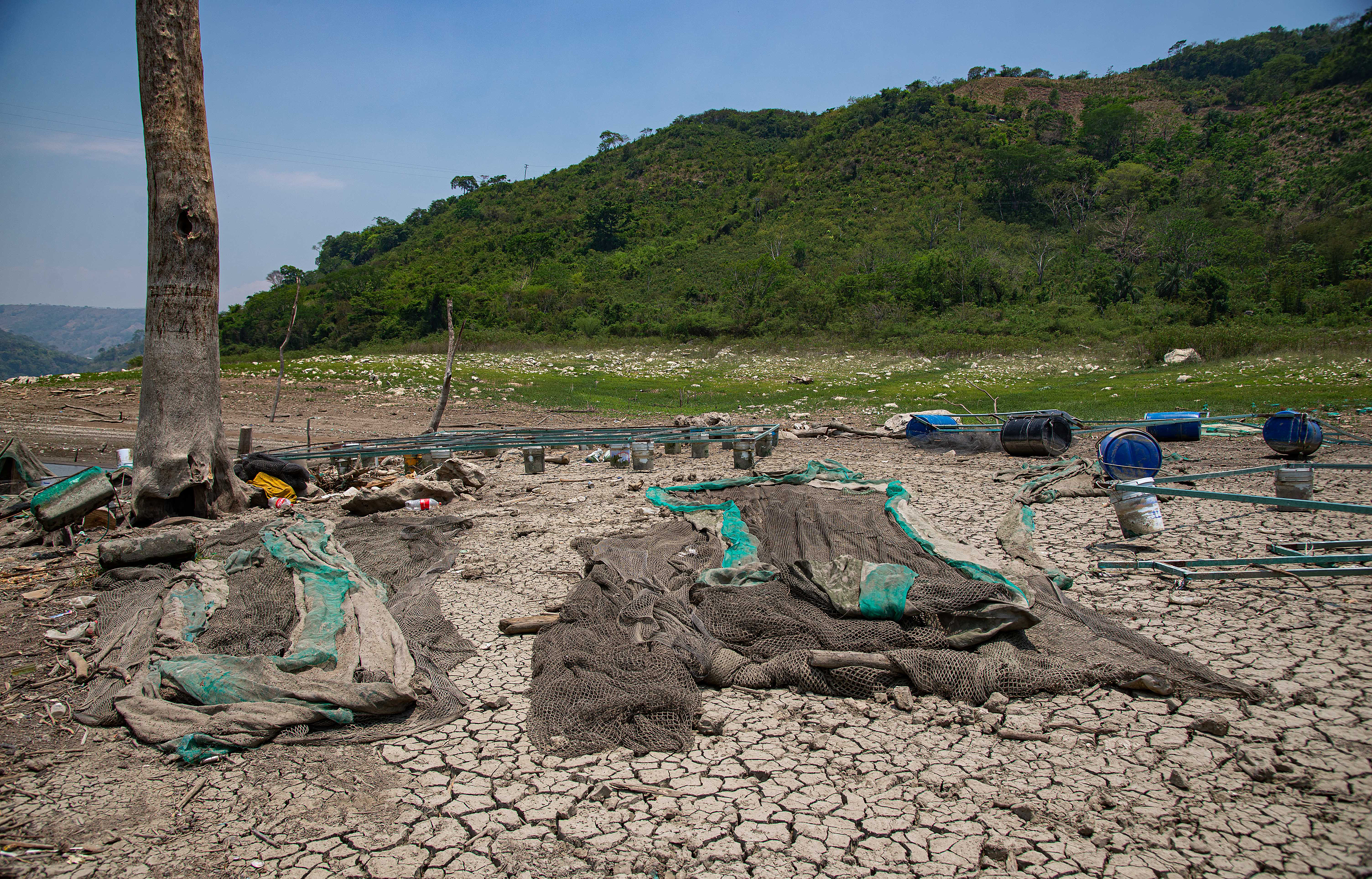 Junio rompió récords que muestran las consecuencias del cambio climático