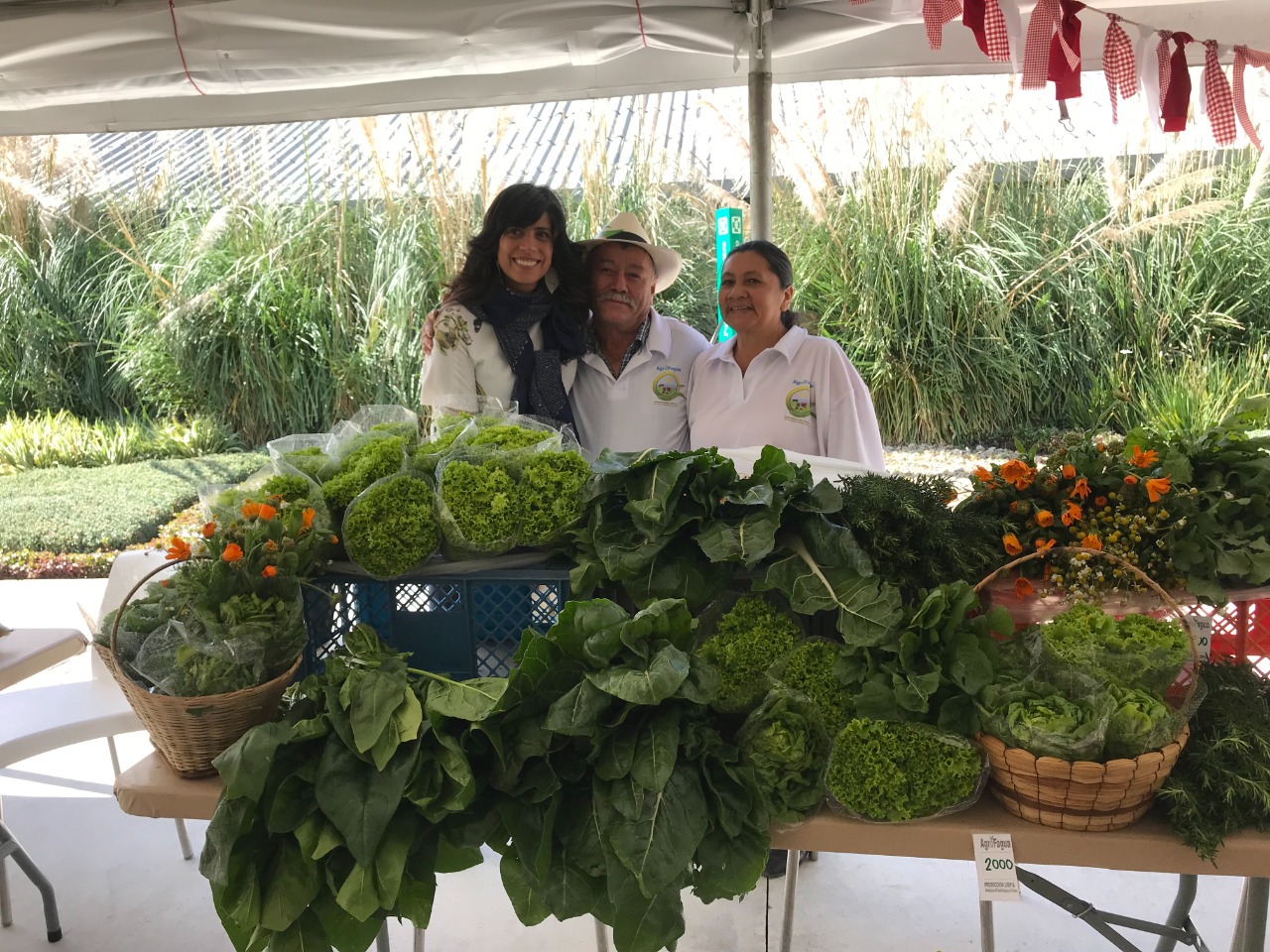 Prográmese este fin de semana con el Fagua Fest en Chía, Cundinamarca