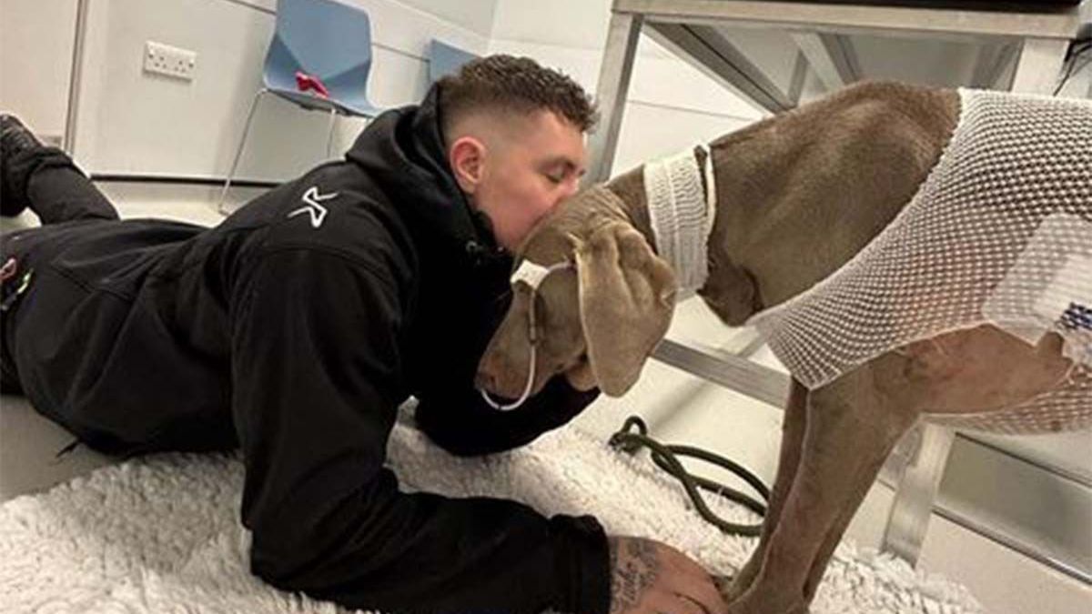 Joven puso en venta su casa para salvar la vida de su perro