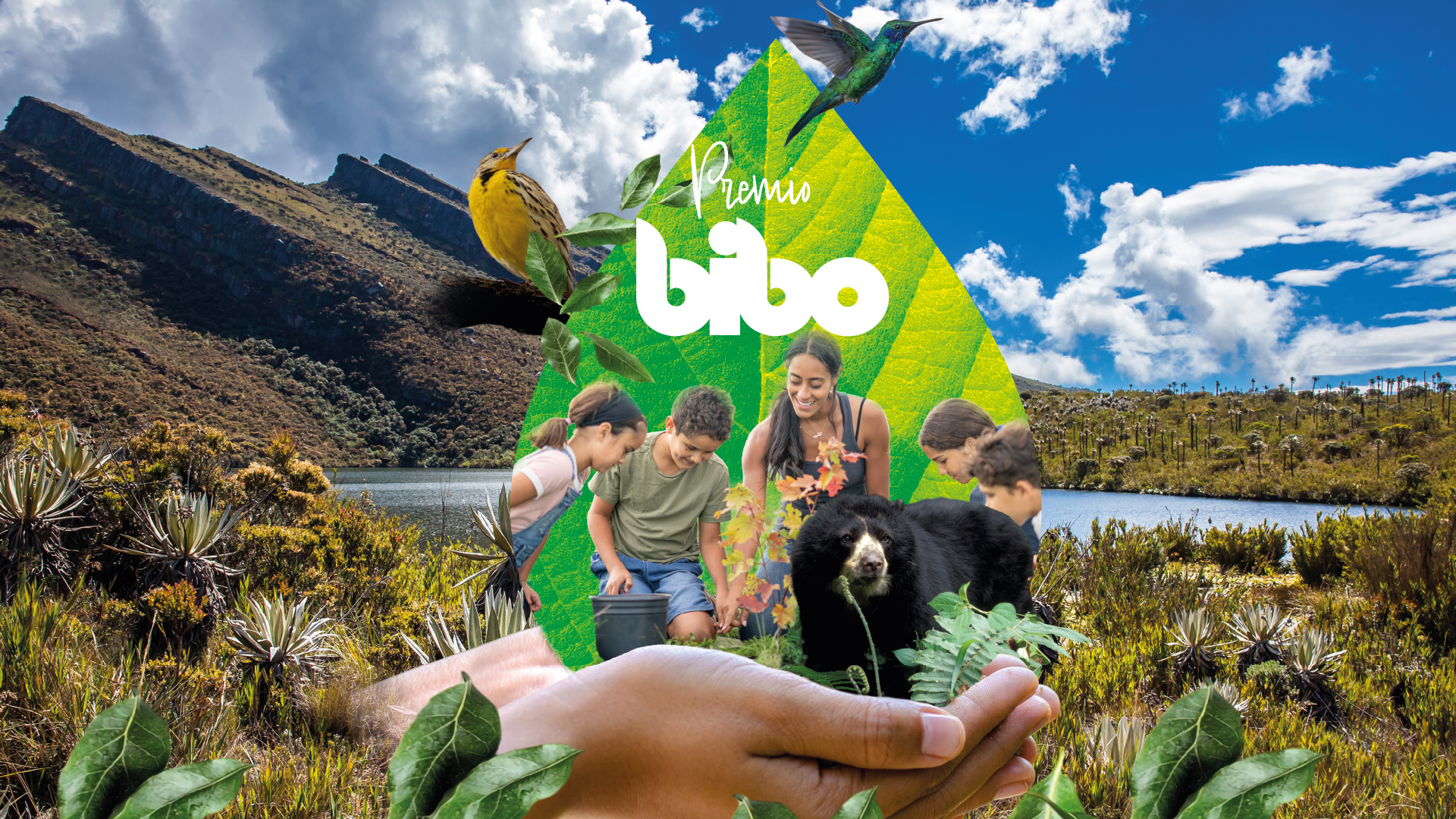 Premio BIBO 2026