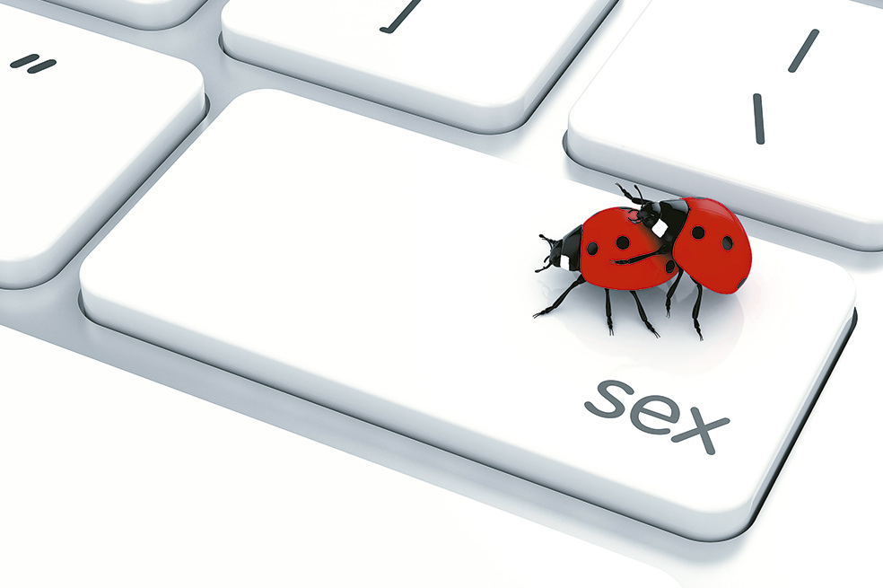 Porno,  ¿nos hace más tontos?