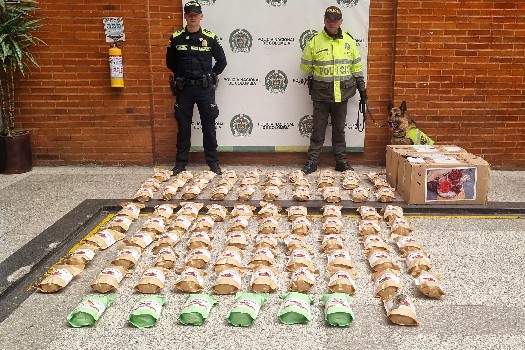 Aeropuerto El Dorado: incautan 30 kilos de marihuana que iban para el Amazonas