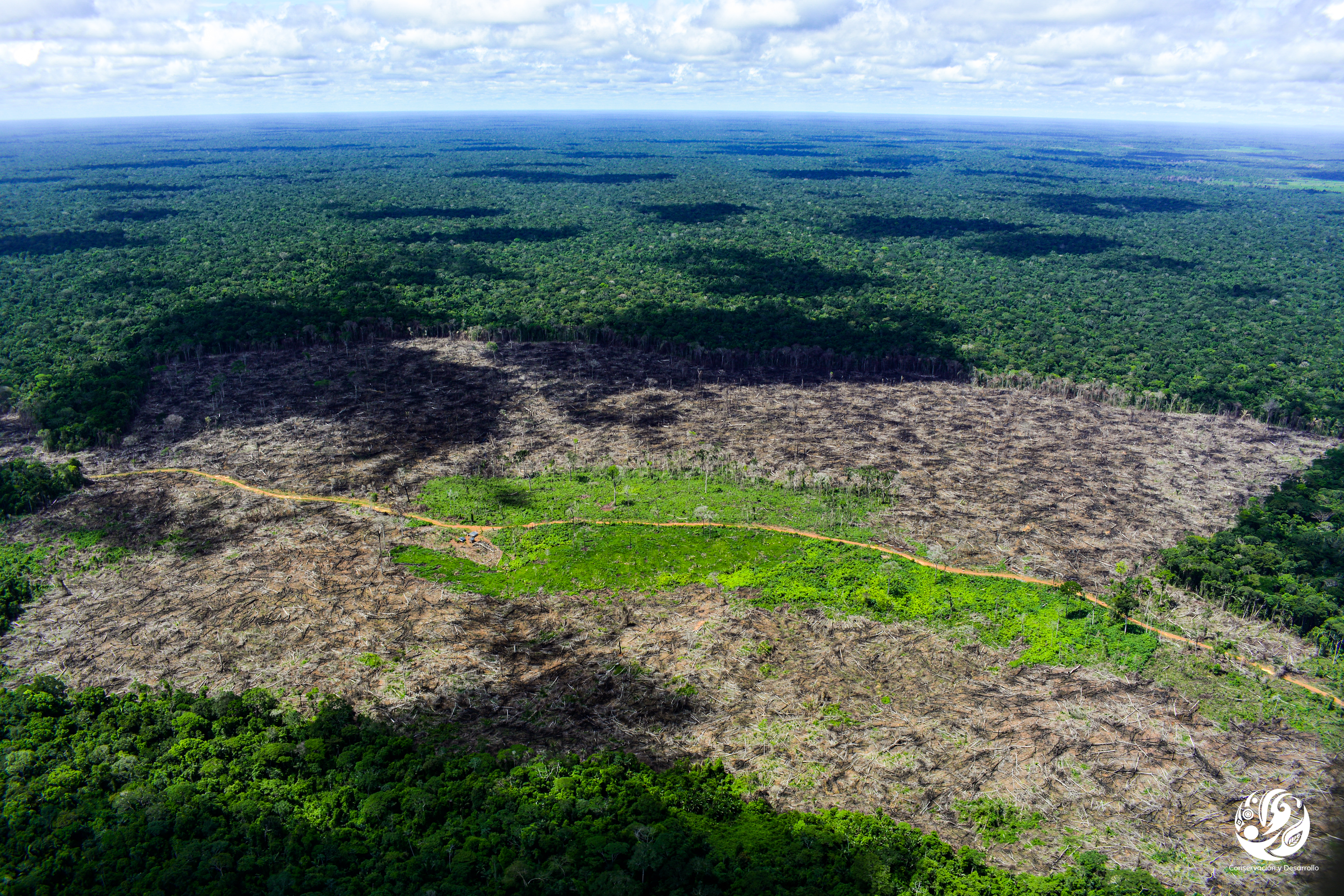 El Ministerio de Ambiente asegura que las principales causas de la deforestación son: la praderización para el acaparamiento de tierras, las malas prácticas de ganadería extensiva, la infraestructura de transporte no planificada, los cultivos de uso ilícito, la extracción ilícita de minerales, la tala ilegal de madera y la ampliación de la frontera agrícola en áreas no permitidas.