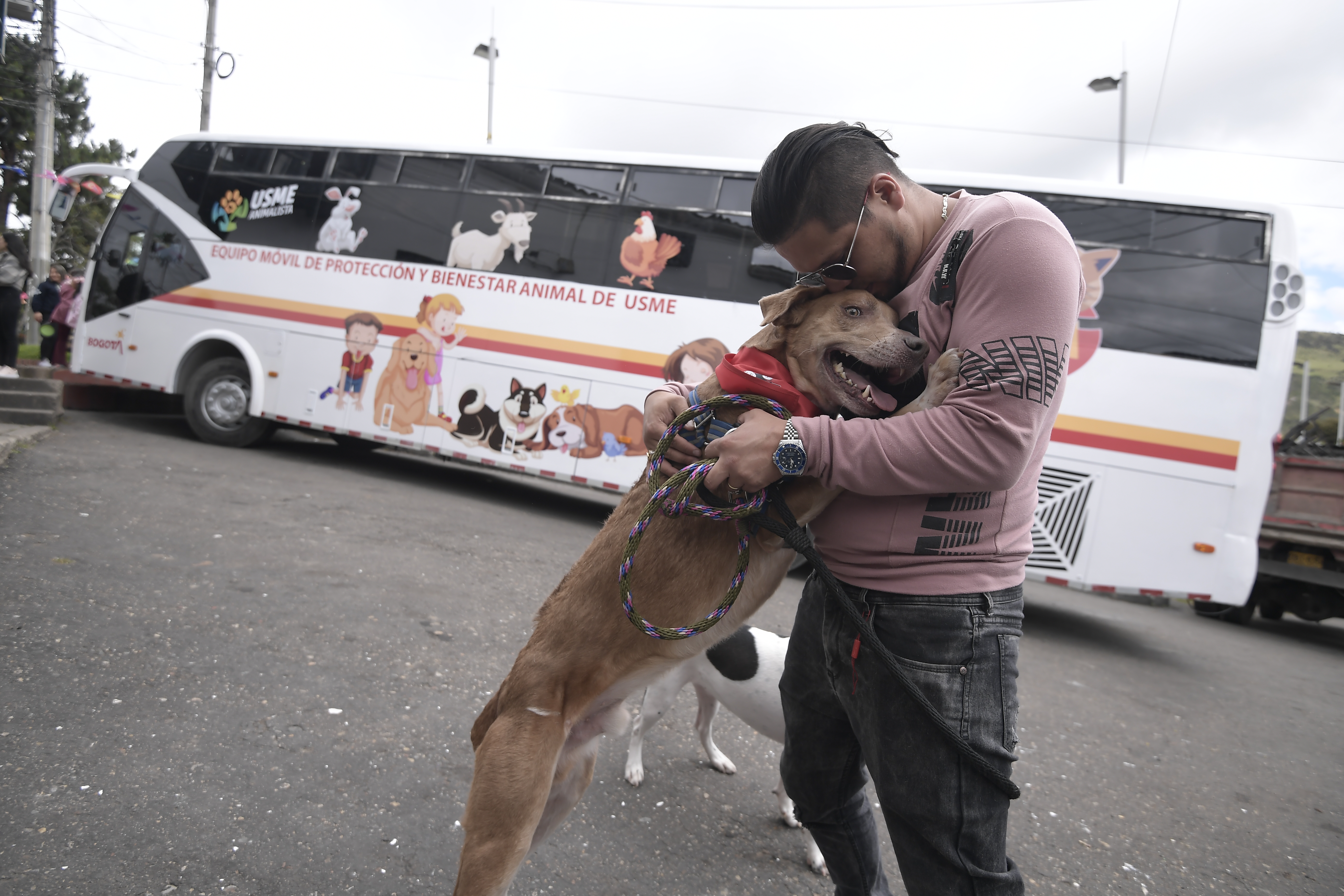 Este bus atiende a los animales sin hogar en el sur de Bogotá