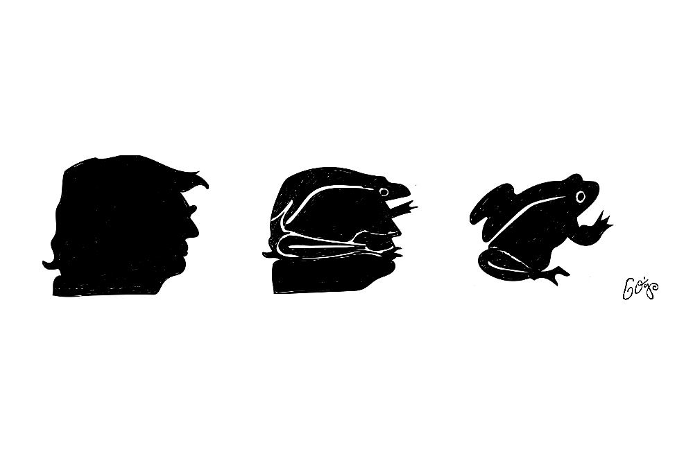 In Trump misión