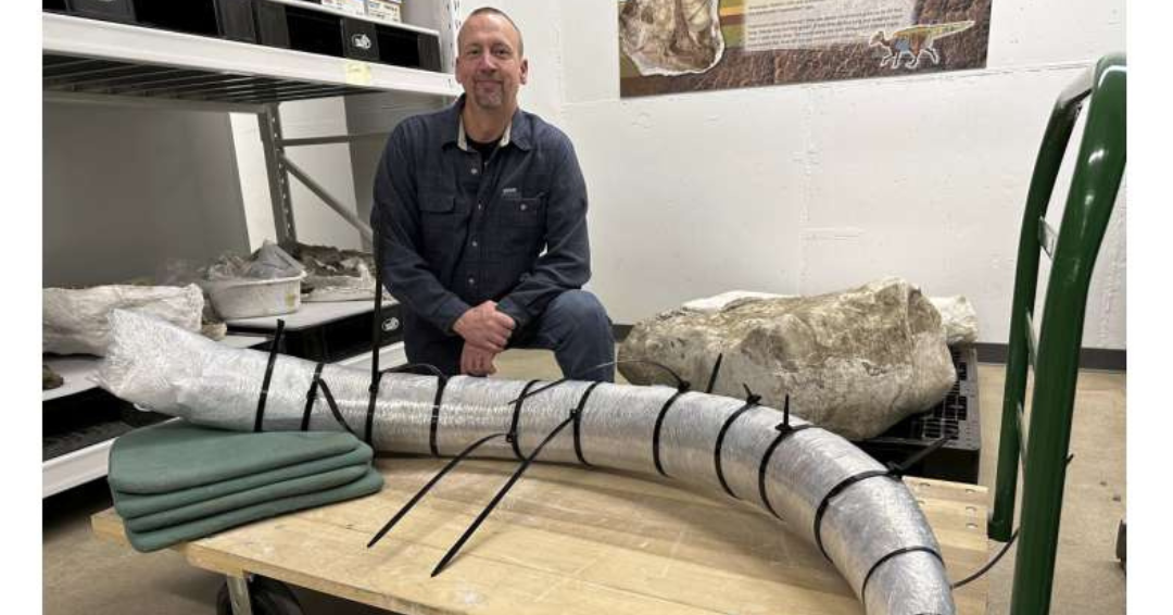 Encontraron un colmillo de mamut de 2 metros al fondo de una mina de carbón