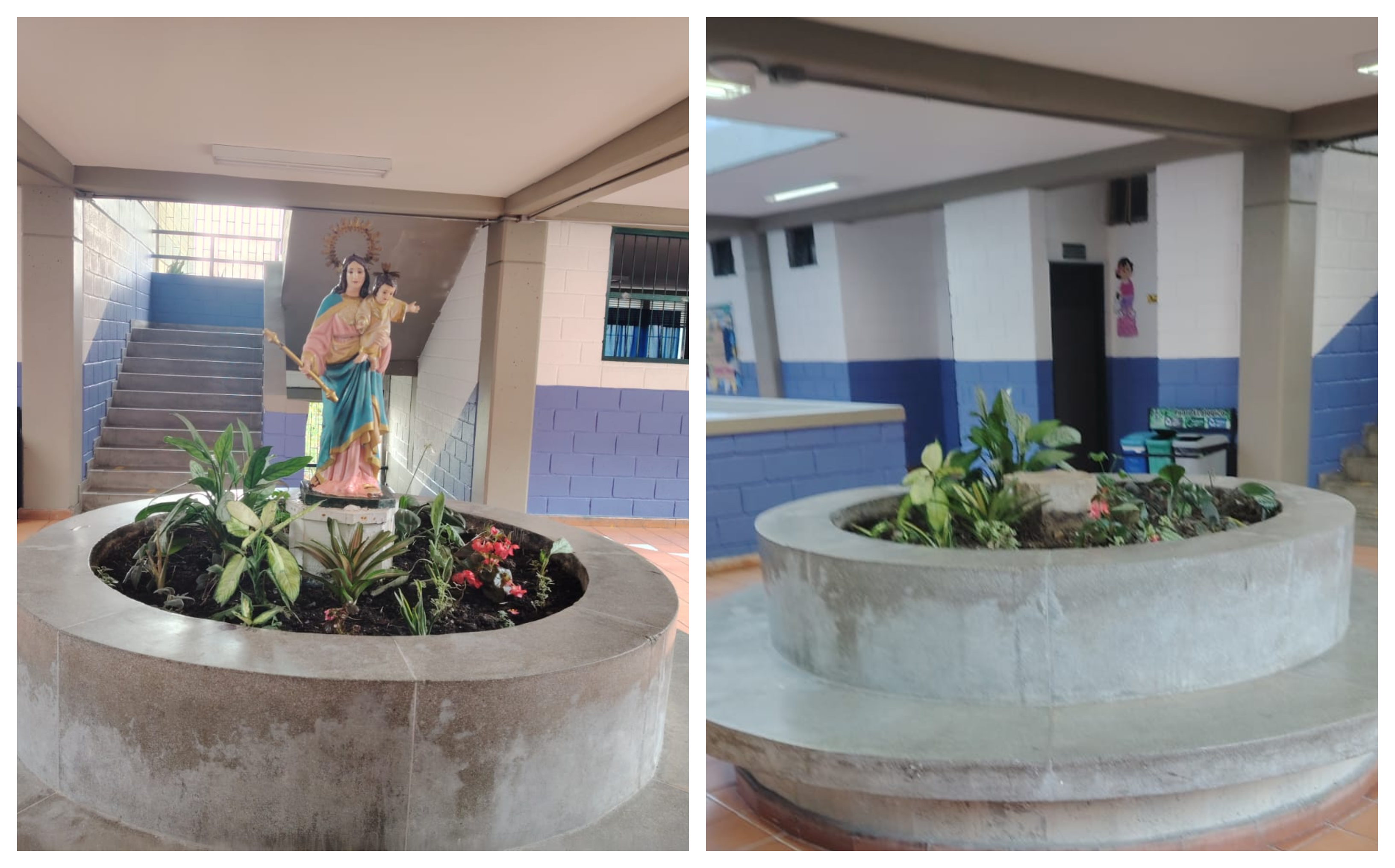 Sacaron a la virgen María Auxiliadora de un colegio de Medellín