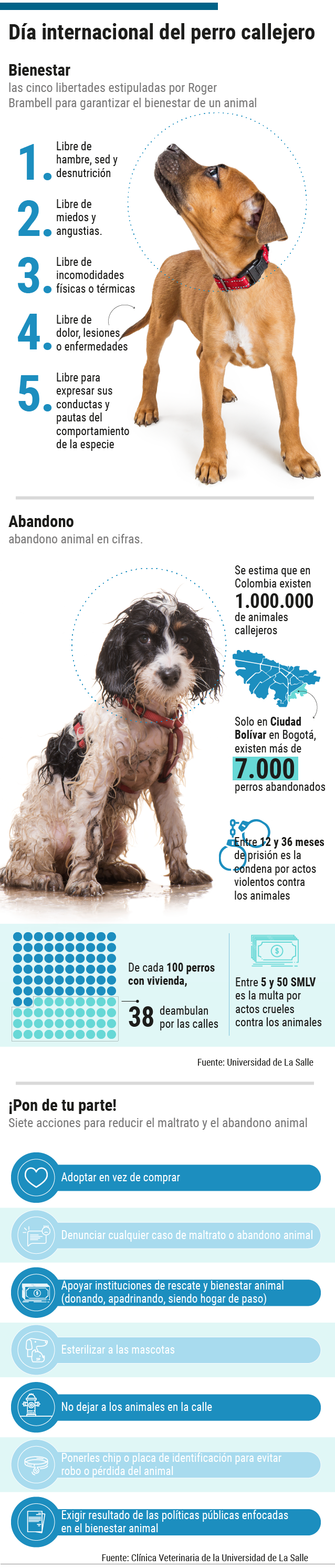 ¿Y qué hace el Distrito por los animales callejeros?