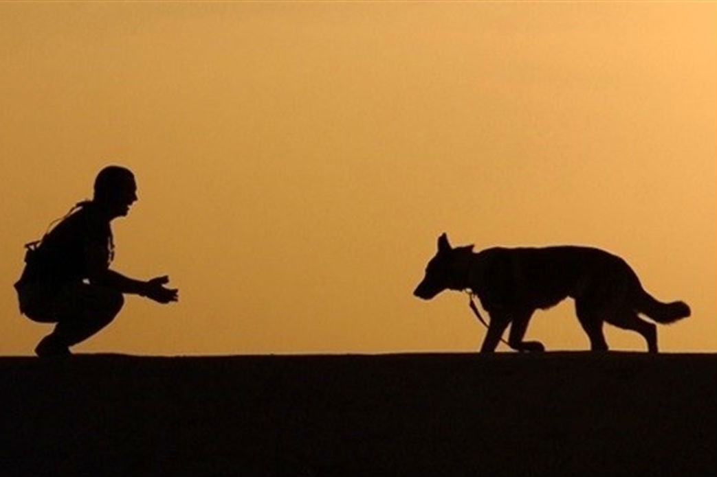 El perro es el mejor amigo del hombre desde hace 14.000 años