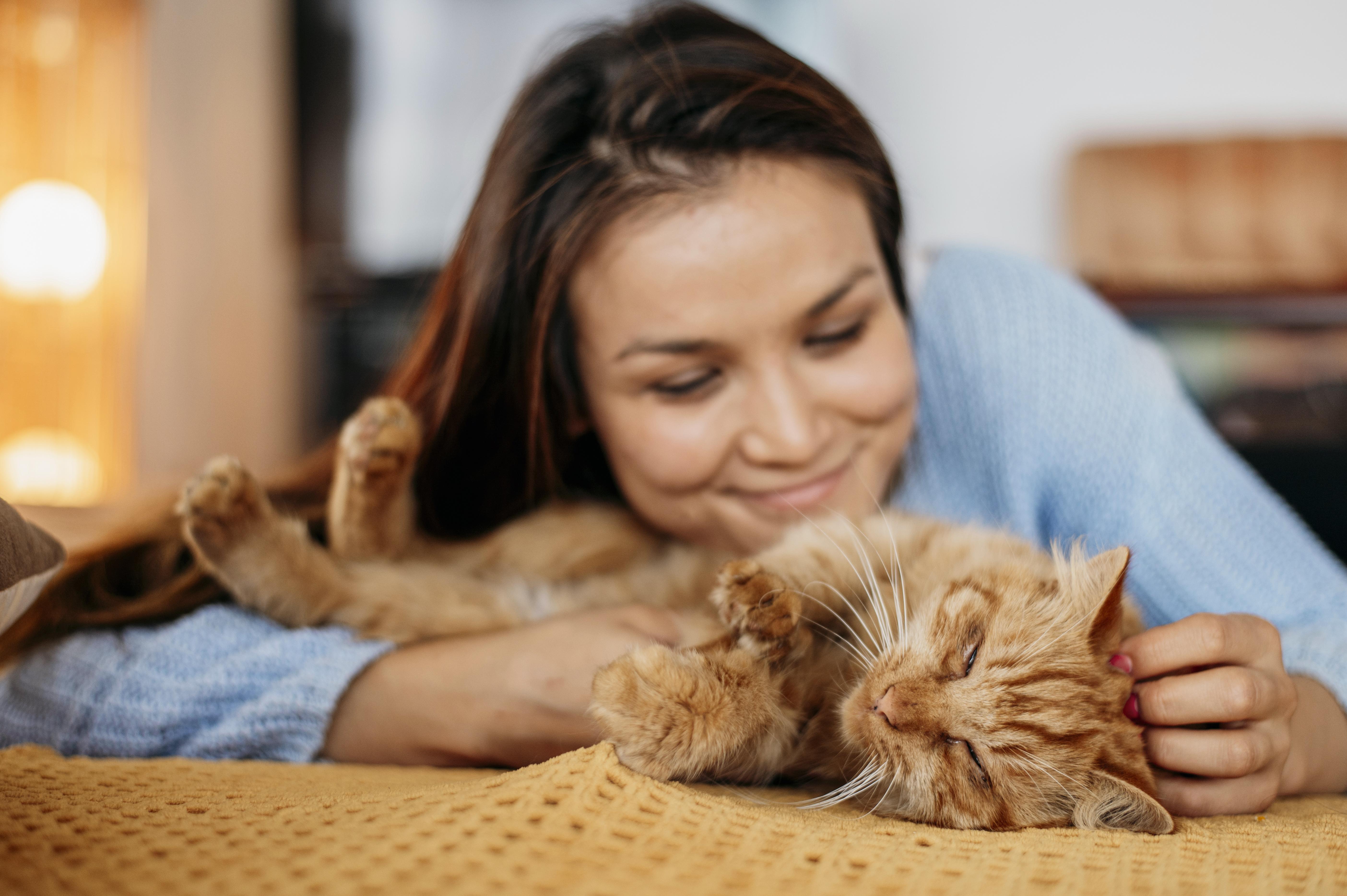 ¿Por qué mi gato se volvió cariñoso repentinamente? Acá te dejamos algunas razones