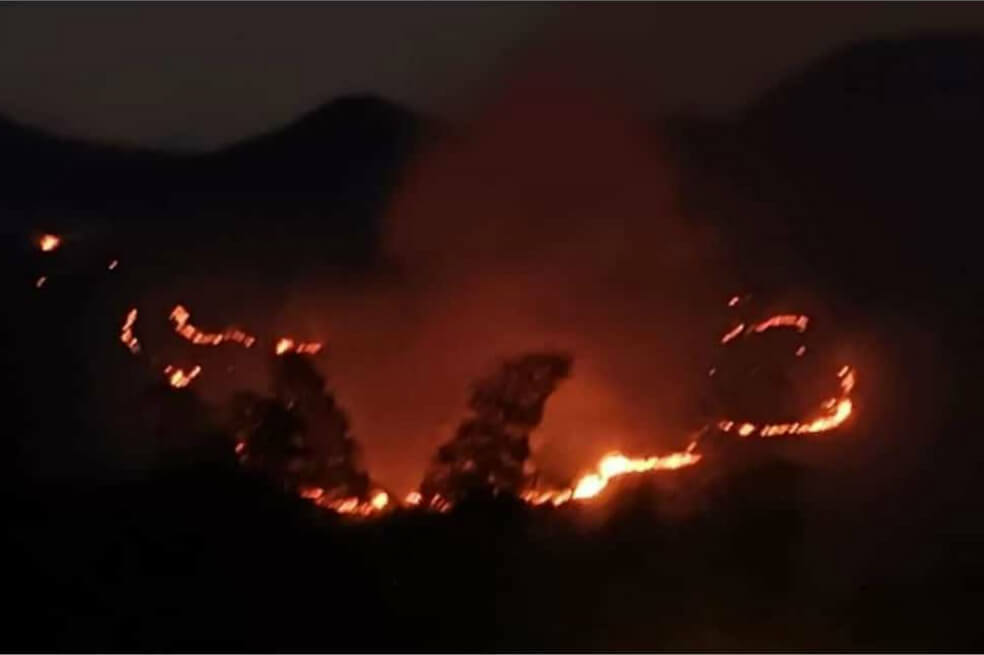 Incendio forestal consumió 100 hectáreas en zona rural de Jamundí, Valle