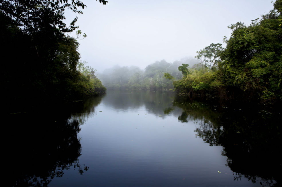 Cosas que no sabía sobre el Amazonas