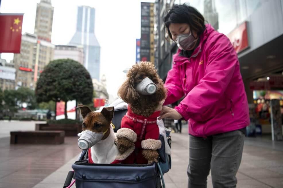 Parálisis por coronavirus reduce en 25% el CO2 que produce China