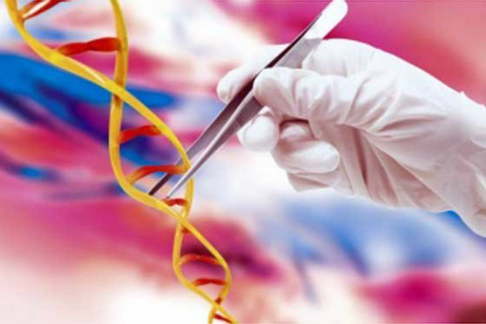 La técnica CRISPR es una herramienta que permite editar y modificar secuencias de ADN de las células con una precisión milimétrica. / AP