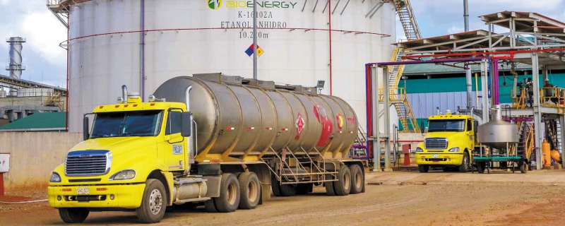 Los impactos ambientales de liquidar Bioenergy en los que nadie piensa