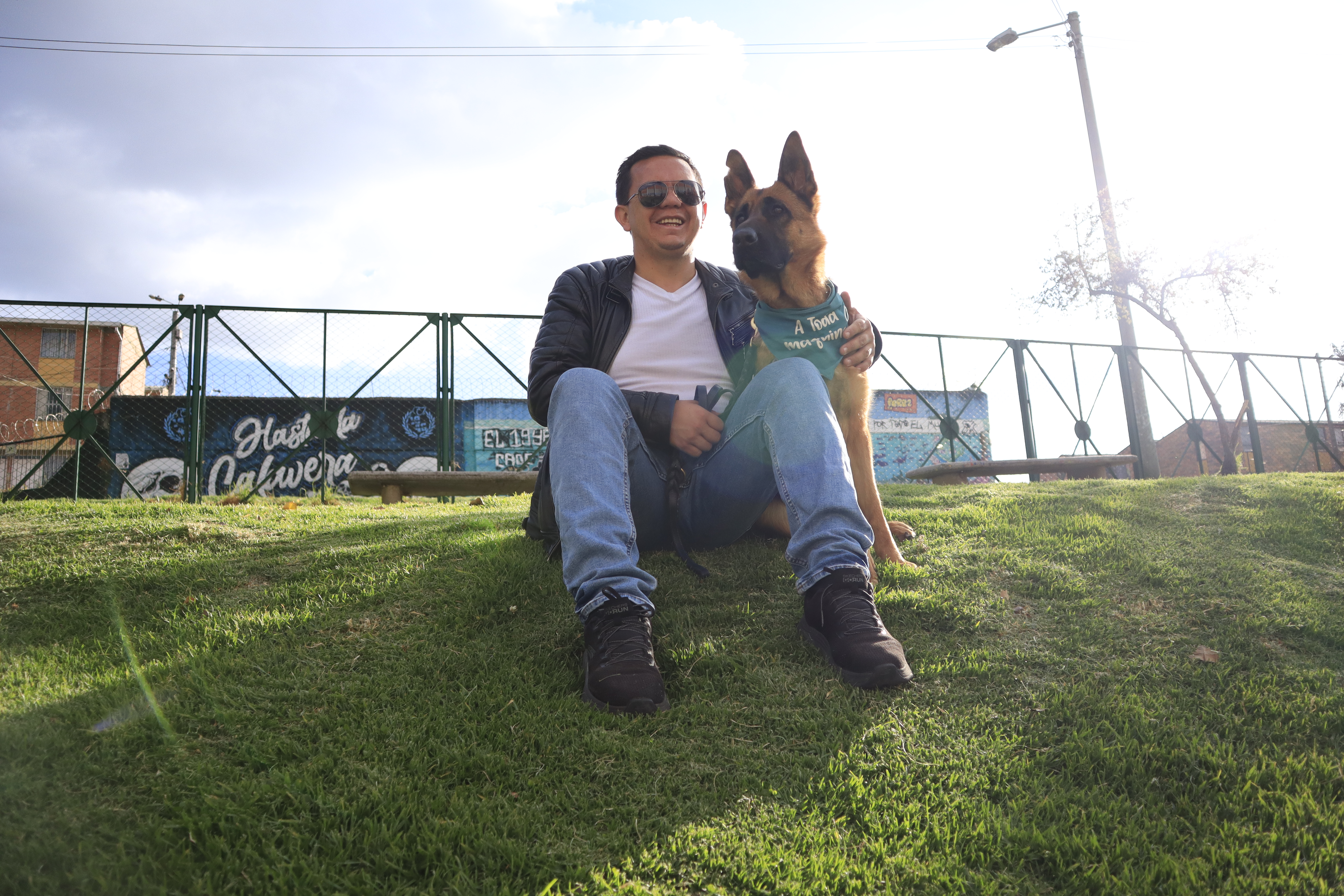 Perros guía o lazarillos: mucho más que los ojos de quienes no ven