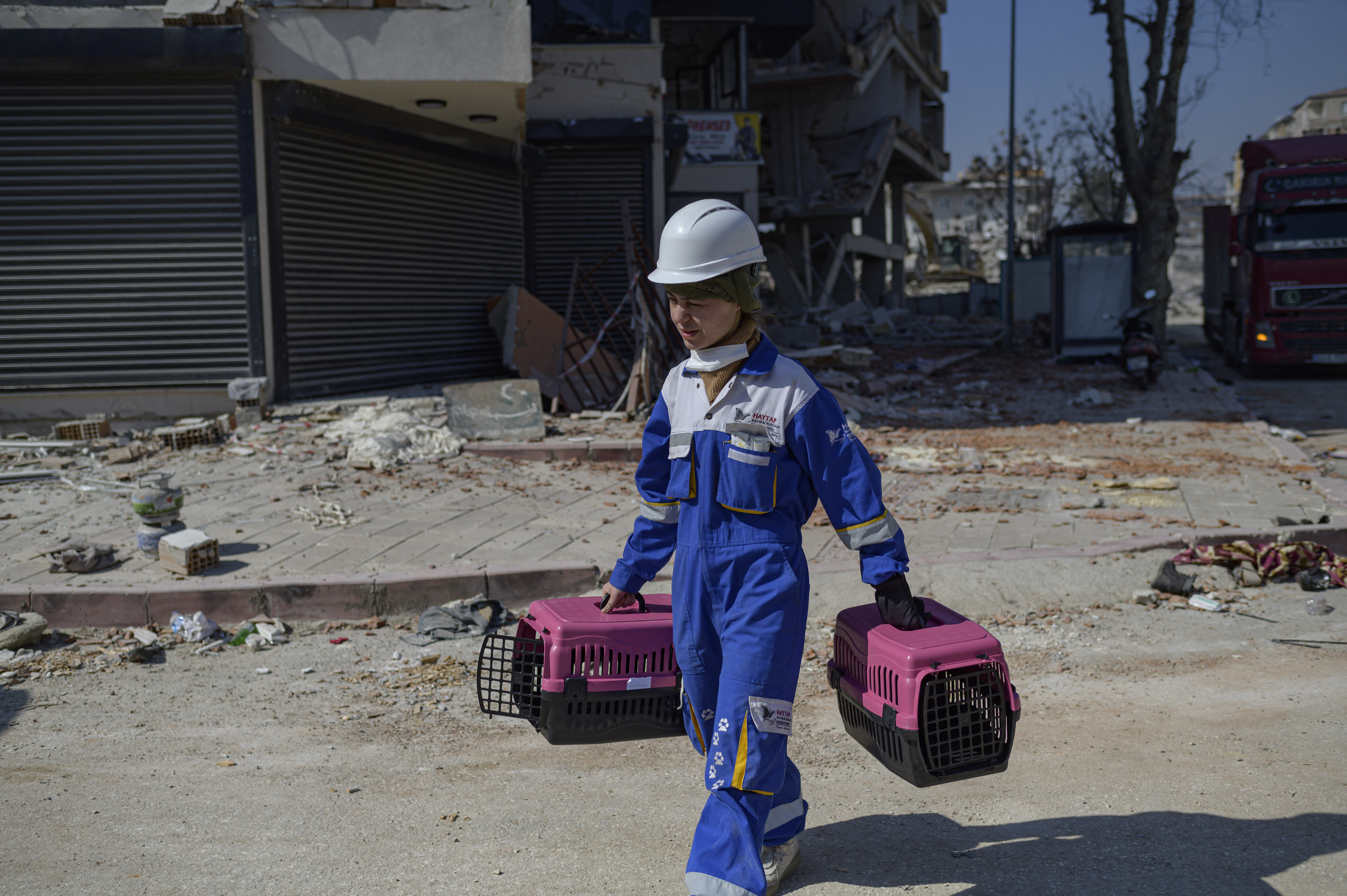 Desde que el sismo de magnitud 7,8 sacudió la región el pasado 6 de febrero, dejando más de 45.000 muertos en Turquía y Siria, cientos de gatos, perros, conejos y pájaros siguen atrapados bajo los escombros que dejó el devastador terremoto.