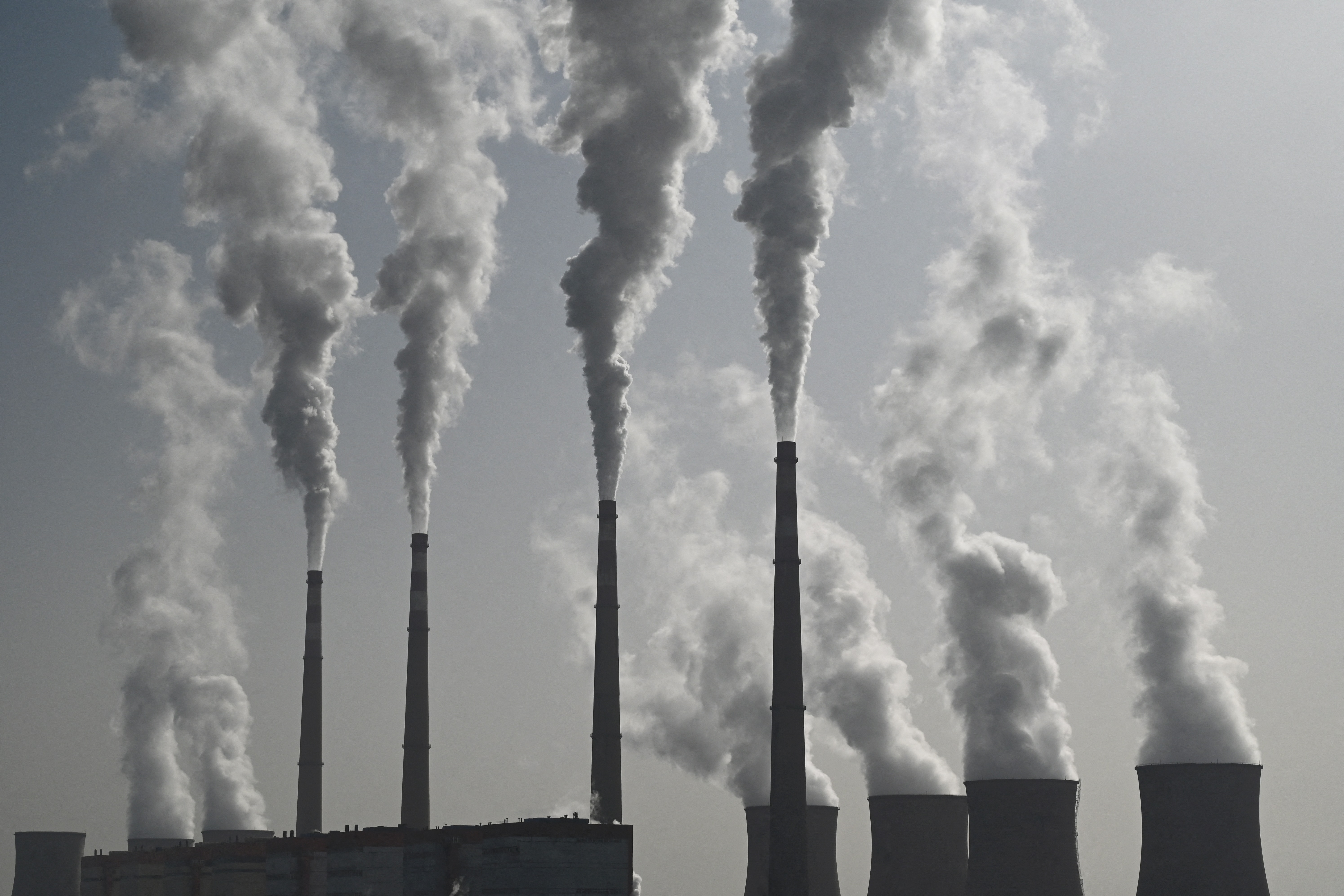 COP30: Gobierno anuncia acuerdo con Banco Mundial por USD $40 millones para reducir emisiones