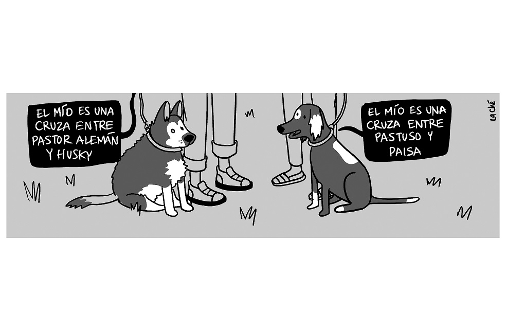La Ché