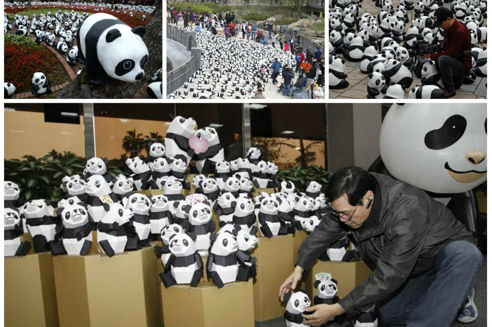 Los esfuerzos de Taiwán por salvar a los pandas