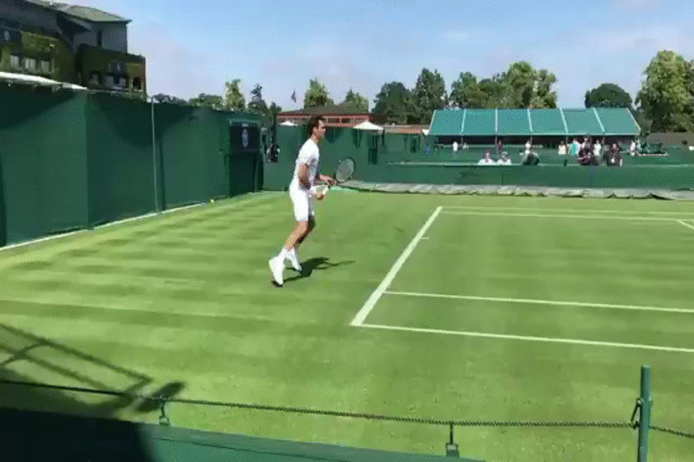Roger Federer será la segunda cabeza de serie en Wimbledon