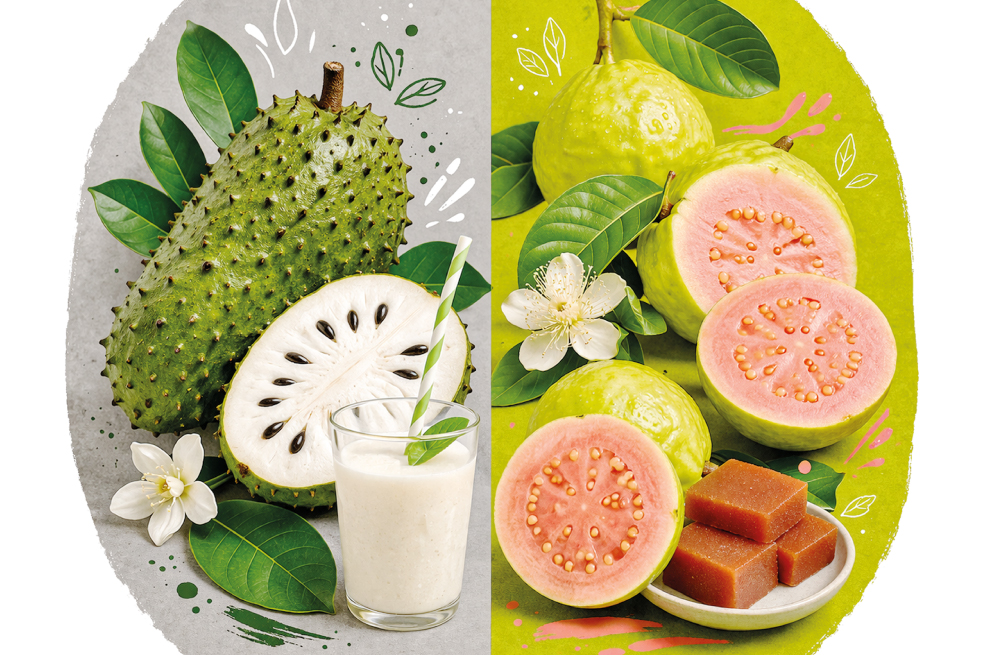 Guayaba y guanábana: propiedades y recetas para aprovechar estas frutas colombianas