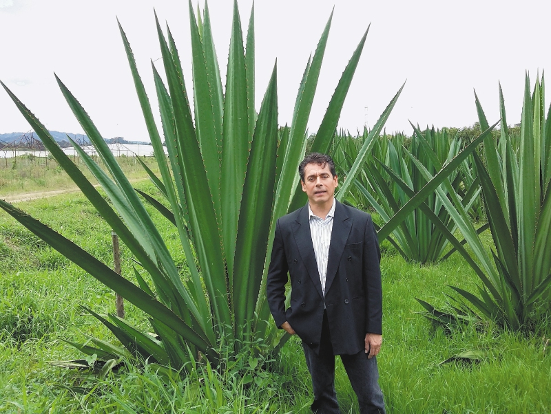 Colombia tendrá fábrica de cuero vegano