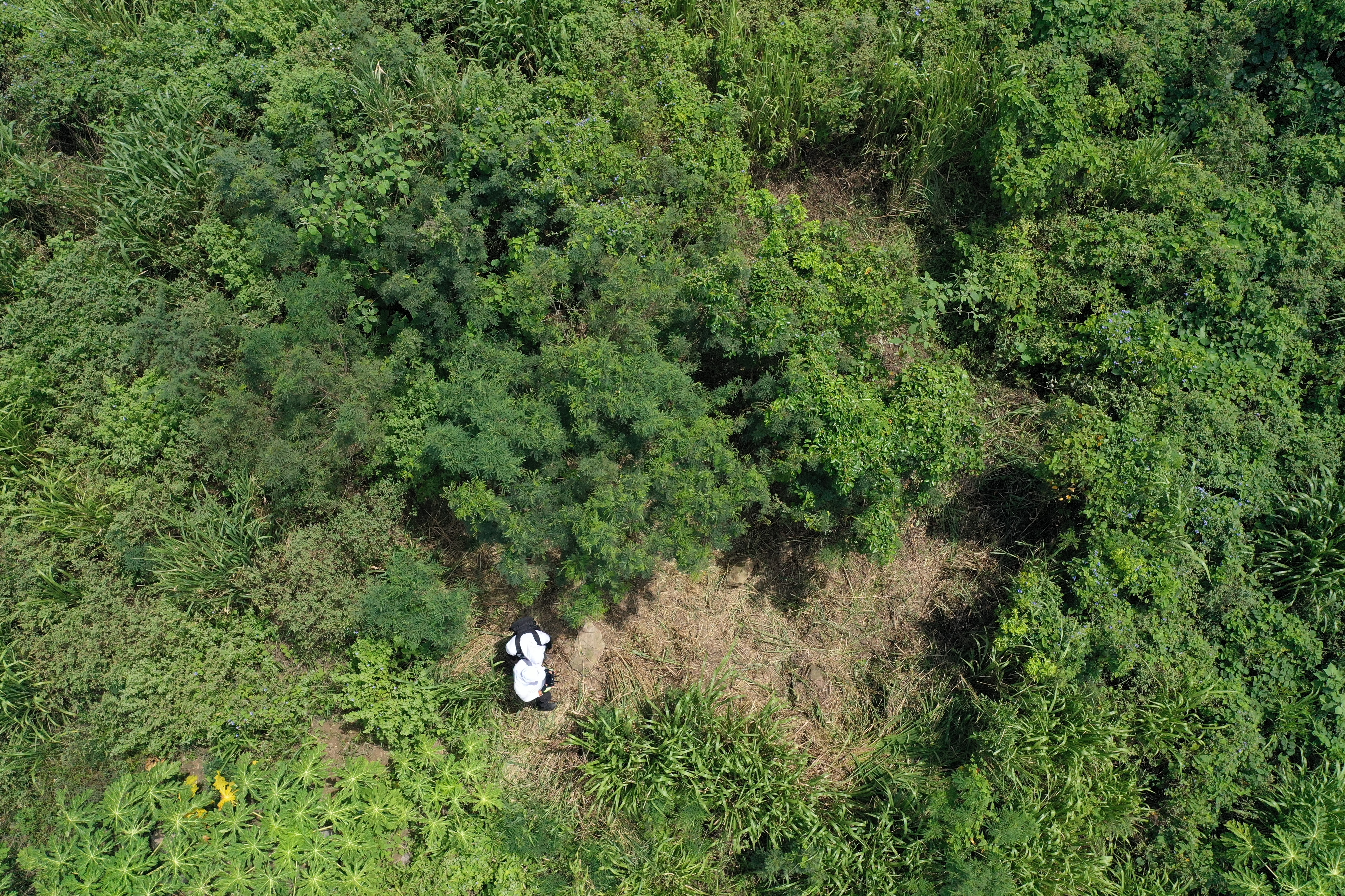 La prospección no intrusiva consiste en escanear el área visualmente en busca de anomalías en la tierra.