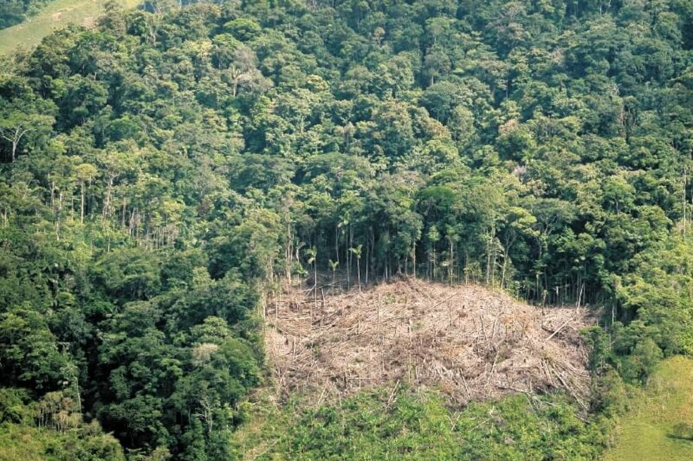 COVID-19: los retos en protección del medio ambiente