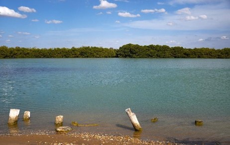 “Toda la economía de La Guajira puede girar en torno al turismo”: Rafael Zúñiga