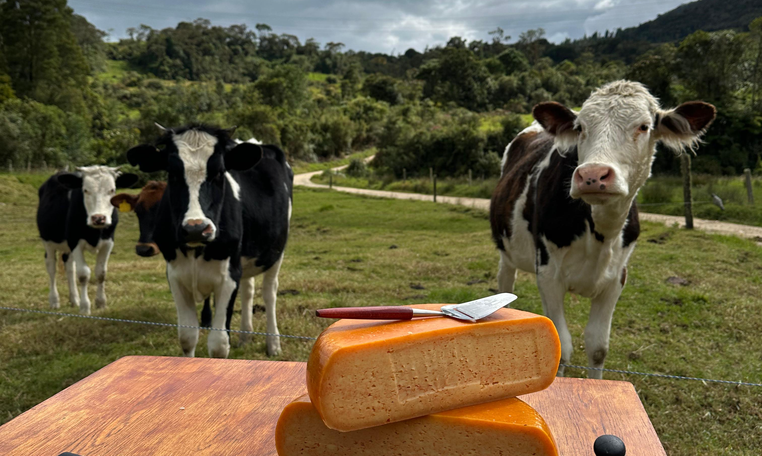 World Cheese Awards 2025