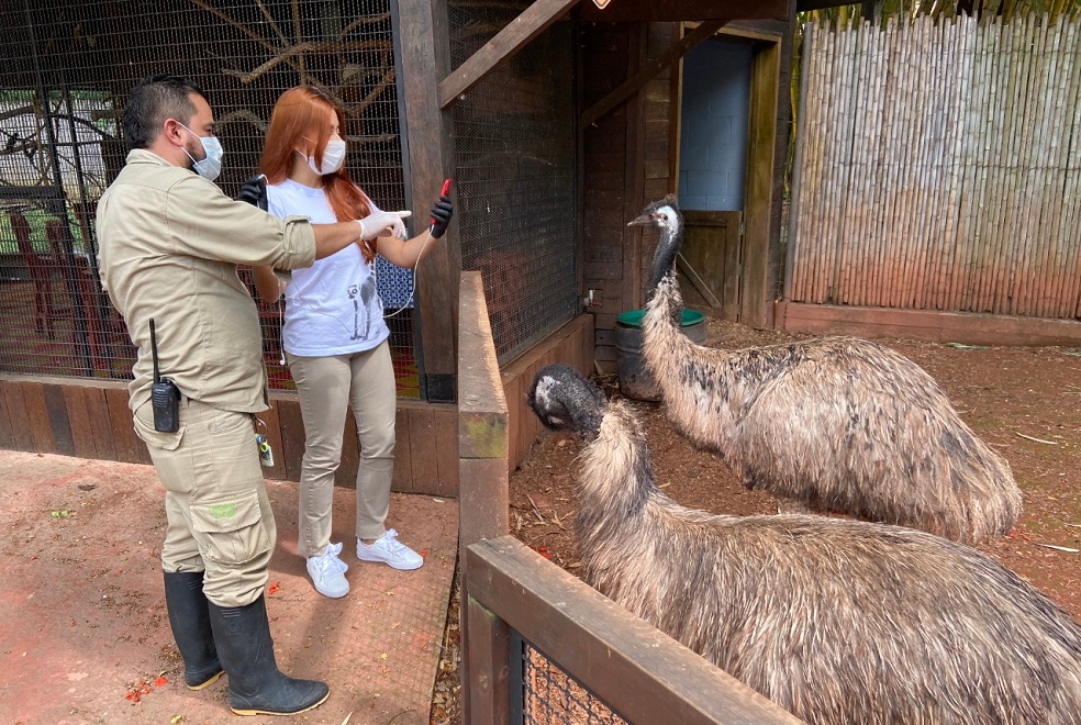 Así avanza la apertura de zoológicos en medio de la pandemia