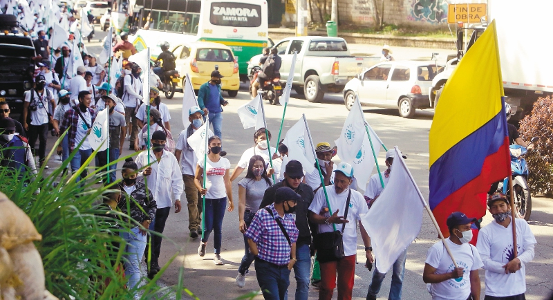 Así es ‘Orellanas de Oriente’, un proyecto de excombatientes de las Farc