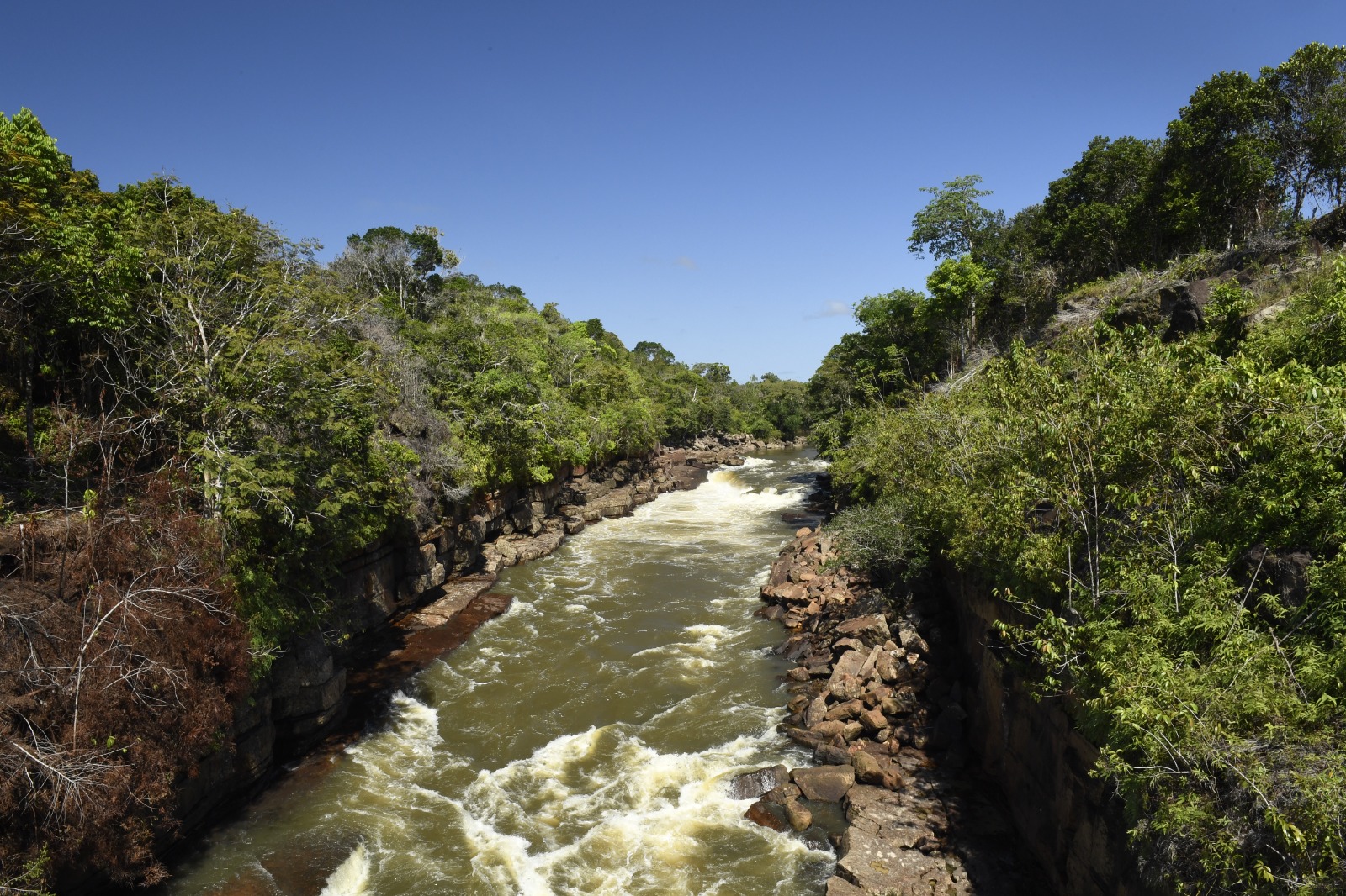 Rápidos en inmediaciones de La Chorrera en la Amazonía colombiana.