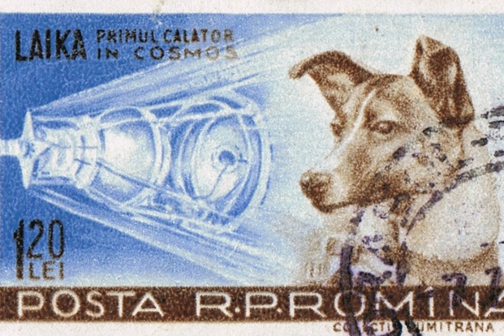 Medio siglo después China revela que también envió dos perros al espacio