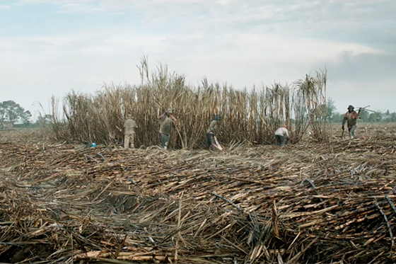 Películas de Colombia y Argentina participarán en Semana de la Crítica de Cannes